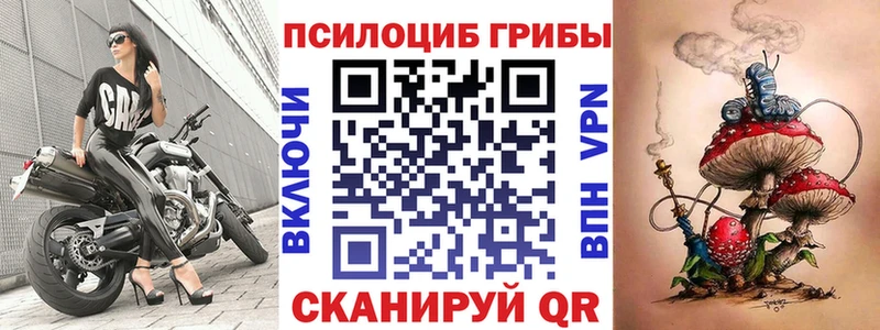 OMG маркетплейс Павловский Посад Галлюциногенные грибы GOLDEN TEACHER